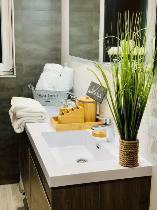 Gite Cosy Au Coeur De L'Alsace Roggenhouse Екстериор снимка